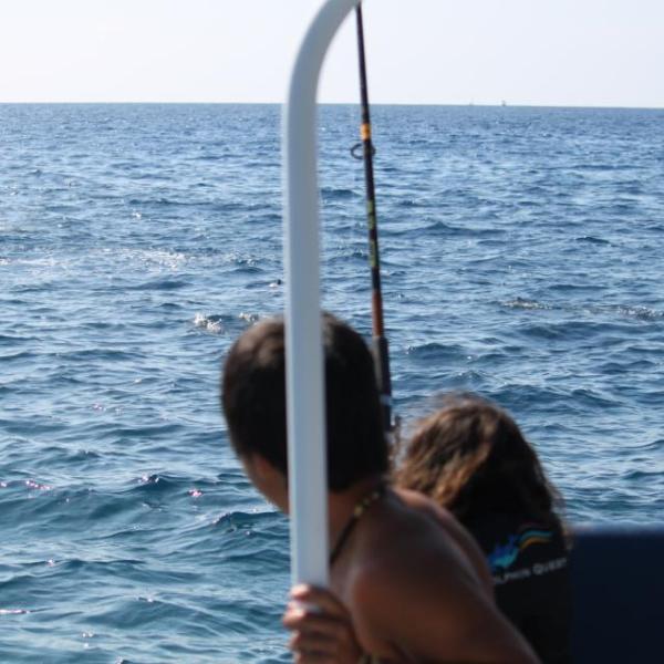 Kids on boat watching Hawaii Spinner Dolphin jumping in Kealakekua Bay