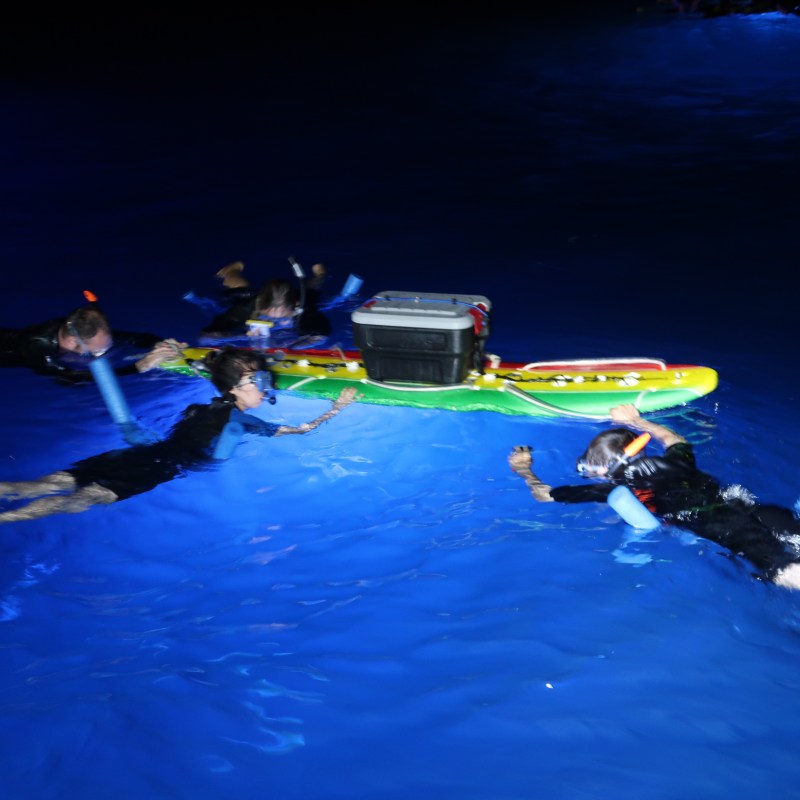 People snorkeling with Manta Rays at Night in Kailua-Kona