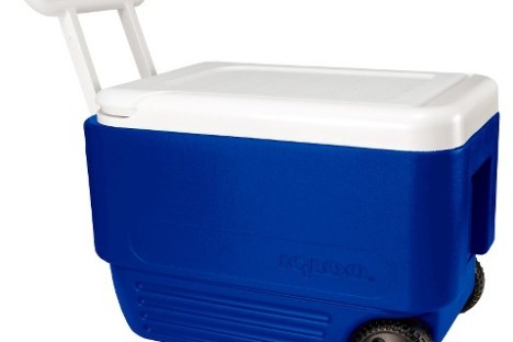 Cooler for Rent