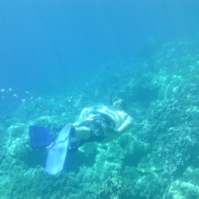 Man diving in Kealakekua Bay with snorkel gear