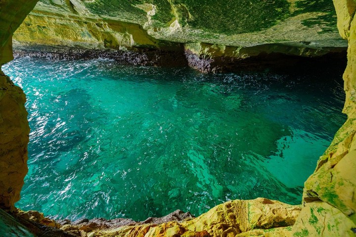 a close up of a large rock in a pool of water